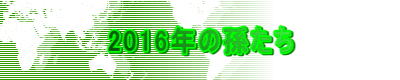2016�N�̑�����