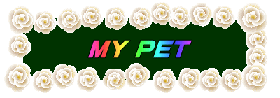 MY PET