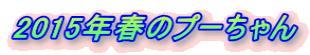 2015年春のプーちゃん