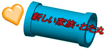 新しい家族・わた丸