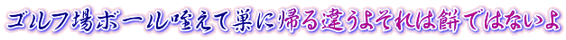 ゴルフ場ボール咥えて巣に帰る違うよそれは餅ではないよ 